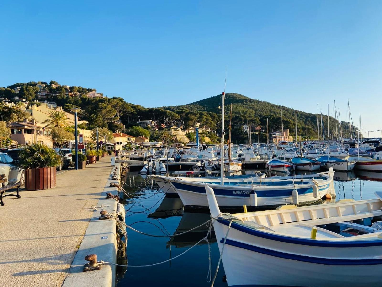 Studio Cosy En Bord De Mer Saint-Cyr-sur-Mer Eksteriør billede